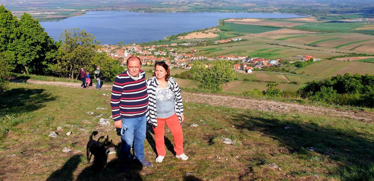 Penzion U Vlku Valtice Exteriör bild