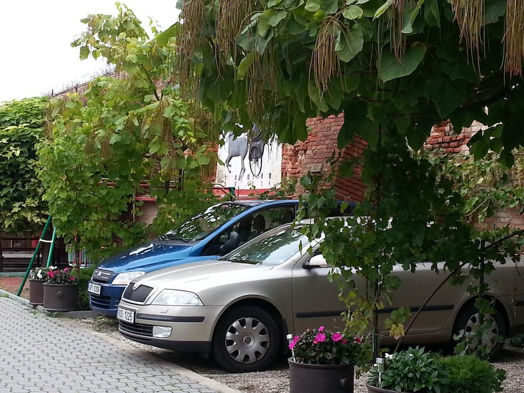 Penzion U Vlku Valtice Exteriör bild